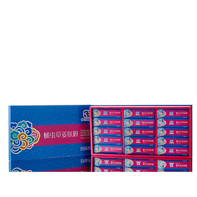 河间调经养气汤